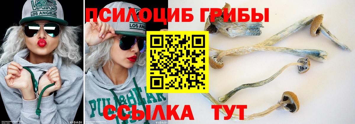 Элиста  Галлюциногенные грибы мухоморы  Псилоцибиновые грибы Magic Shrooms  Вход с VPN 